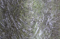 Parley Green fibreglass roof work